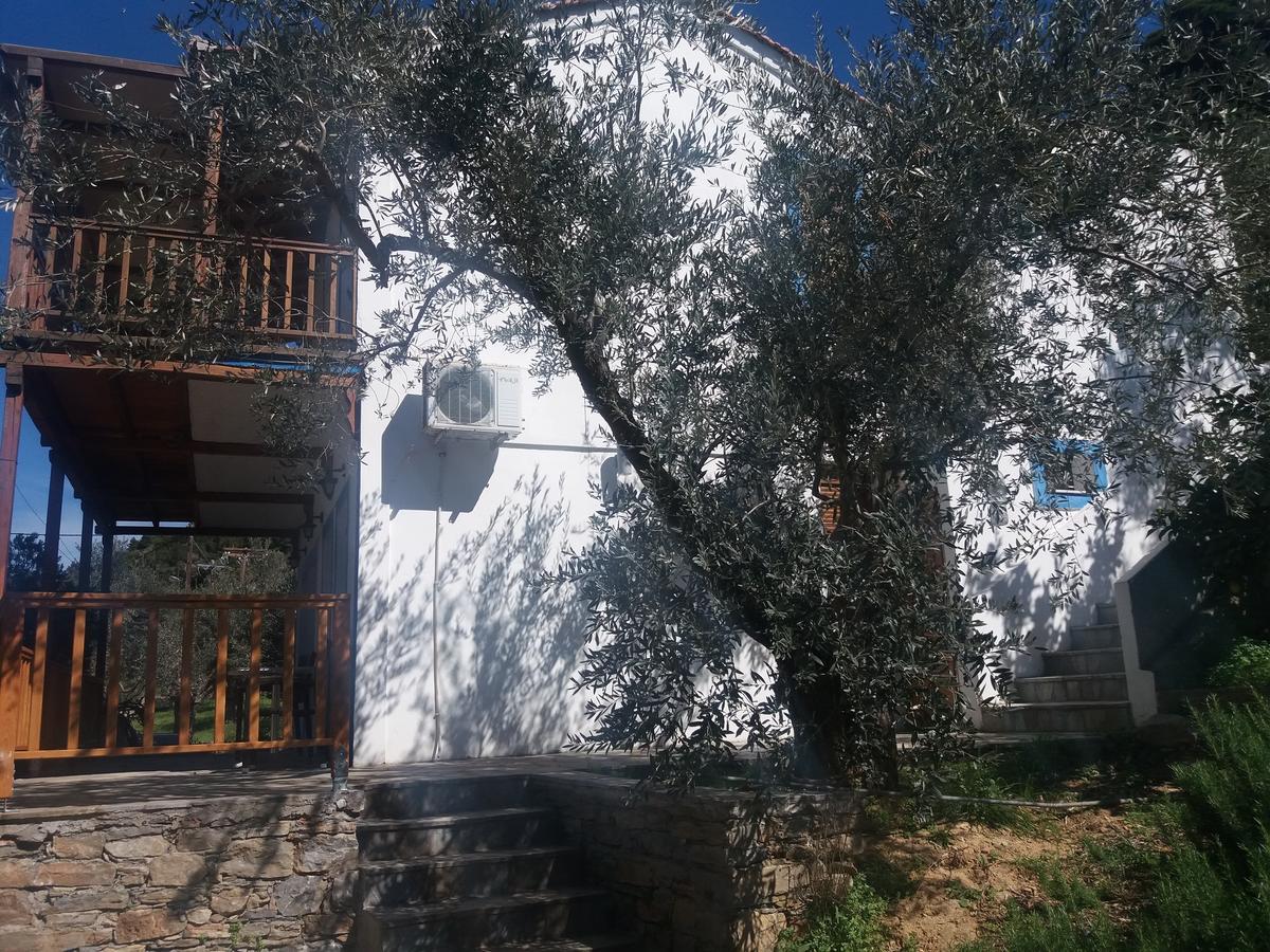 Апартаменти Megalos Mourtias Alonnisos Town Екстер'єр фото